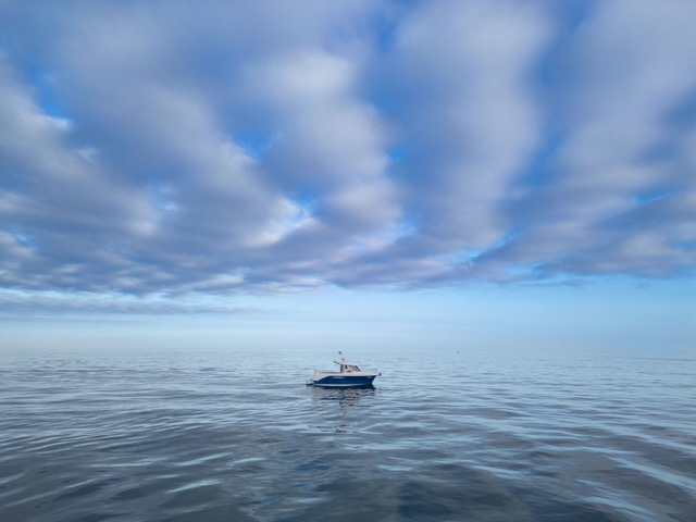 Boat trips in Looe Cornwall