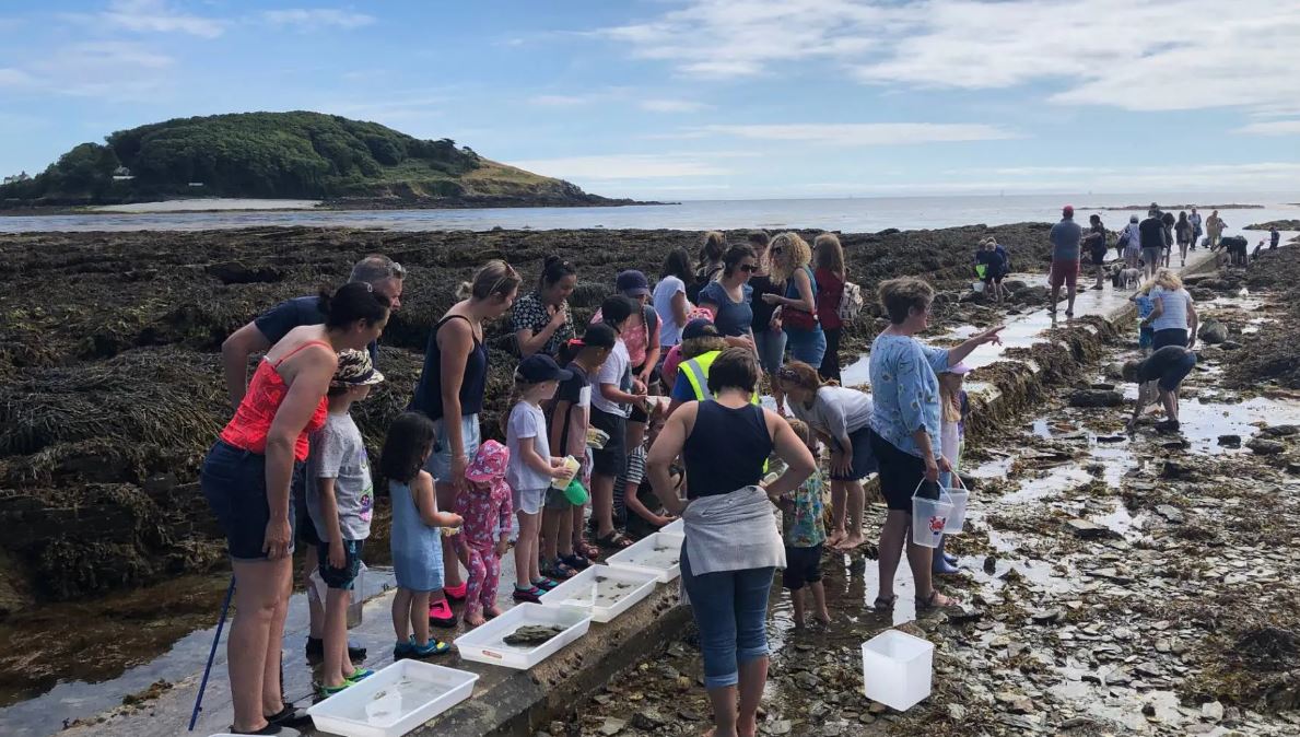 Hannafore rockpool ramble